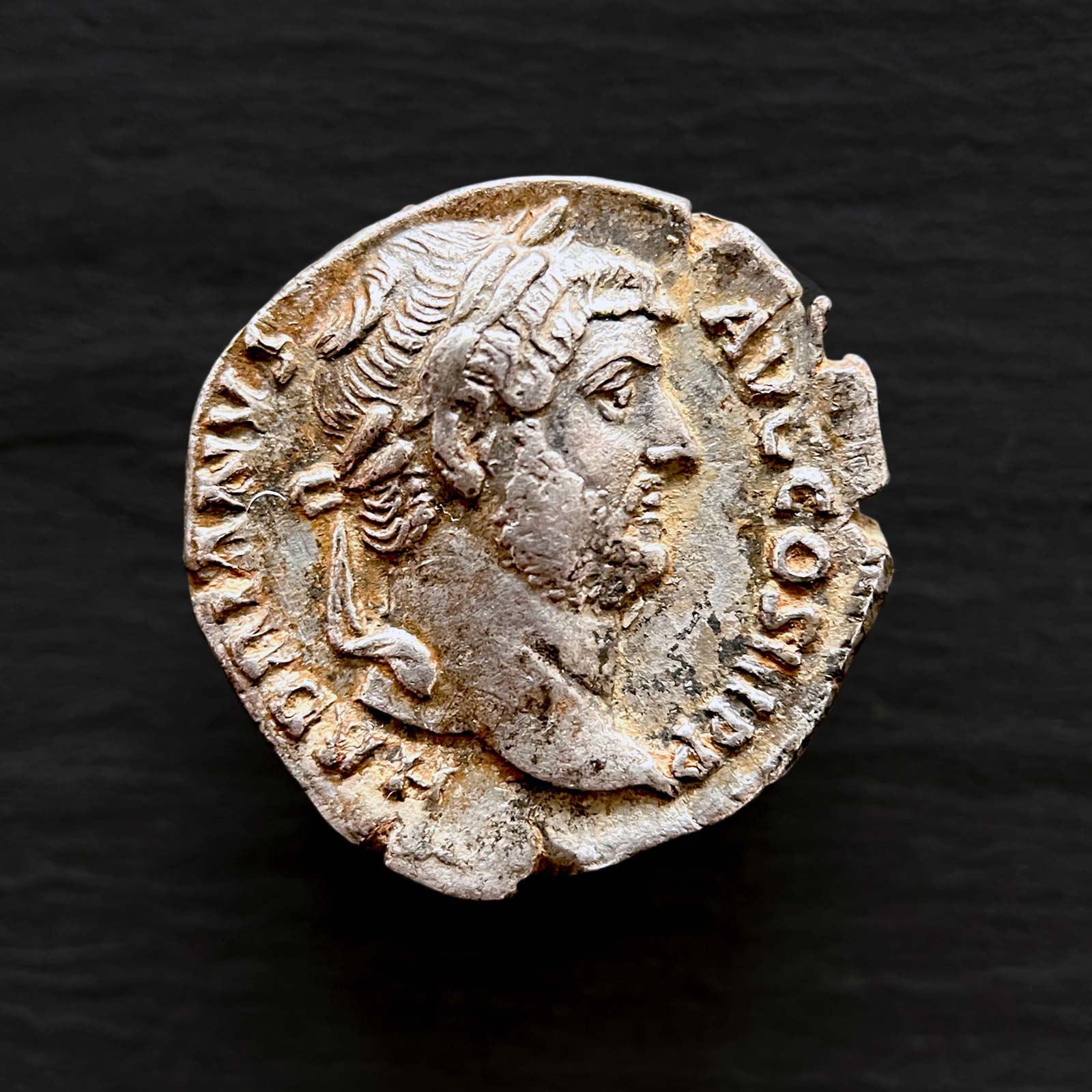 Hadrian Obverse